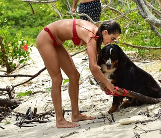 Alessandra Ambrosio feet photo thumbnail