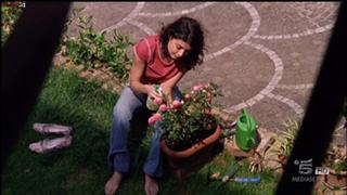 Alessandra Mastronardi feet photo thumbnail