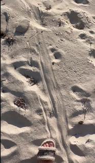 Alessandra Meyer-Wölden feet photo thumbnail