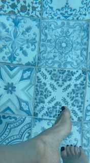 Alessandra Negrini feet photo 2