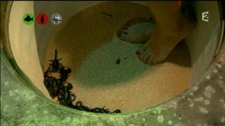 Alessandra Sublet feet photo thumbnail