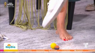 Alessandra Villegas feet photo 13