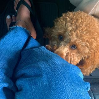 Alessia Cara feet photo thumbnail