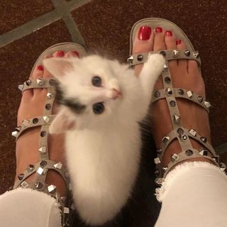 Alessia Ventura feet photo 8