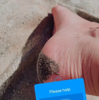 Alex Clark feet photo 19