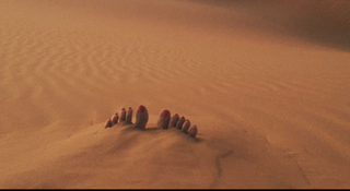 Alex Hirschi feet photo 9