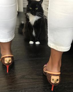 Alex Meneses feet photo 6
