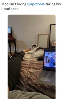 Alex O'Toole feet photo thumbnail