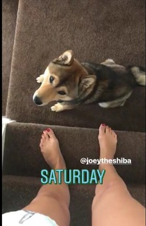 Alex Osipczak feet photo 14