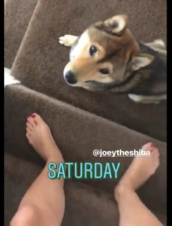 Alex Osipczak feet photo 13