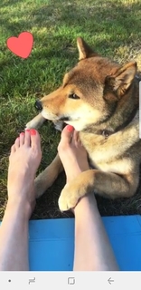 Alex Osipczak feet photo 1