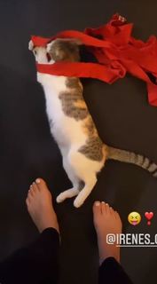 Alexa Grasso feet photo thumbnail