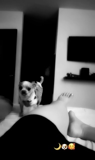 Alexa Grasso feet photo thumbnail