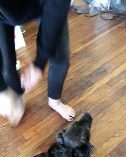Alexa Nikolas feet photo 16
