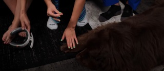 Alexandra Botez feet photo thumbnail