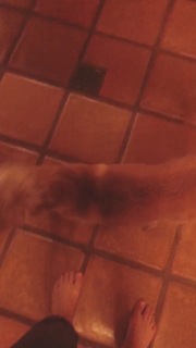 Alexandra Daddario feet photo thumbnail