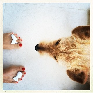 Alexandra Golovanoff feet photo 10
