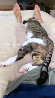 Alexandra Golovanoff feet photo 17