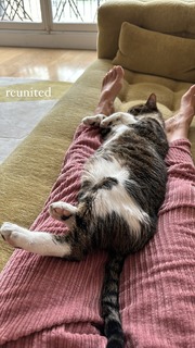 Alexandra Golovanoff feet photo 14