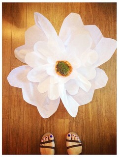 Alexandra Kyle feet photo 10