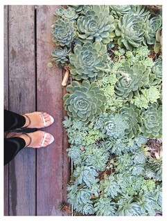 Alexandra Kyle feet photo 6