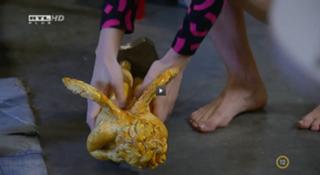 Alexandra Nagy feet photo 9