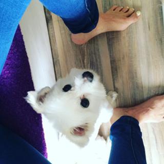 Alexandra Nagy feet photo 18