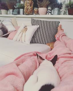 Alexandra Nagy feet photo 16