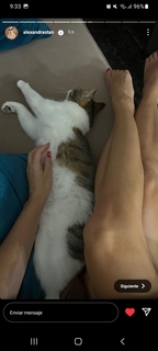 Alexandra Stan feet photo thumbnail