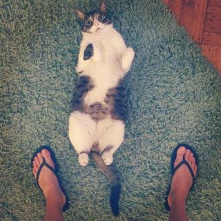 Alexandra Turshen feet photo 6