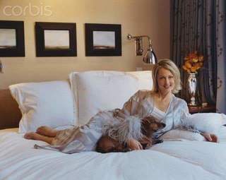 Alexandra Wentworth feet photo 5