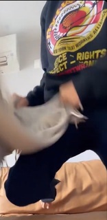 Alexandria Ocasio-Cortez feet photo thumbnail