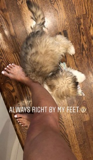 Alexis Belbel feet photo 20
