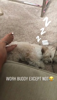 Alexis Belbel feet photo 6