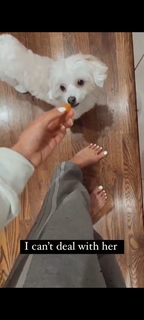 Alexis Belbel feet photo 20