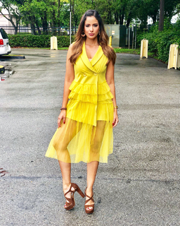 Aleyda Ortiz feet photo 17