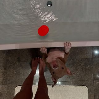 Aleyna Kalaycioglu feet photo 6