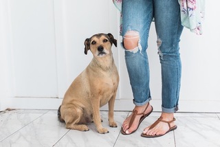 Ali Fedotowsky feet photo 14