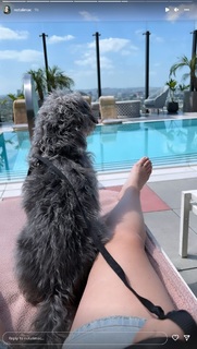 Ali Macofsky feet photo 16