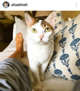 Alia Bhatt feet photo thumbnail