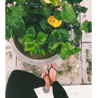 Alia Bhatt feet photo thumbnail