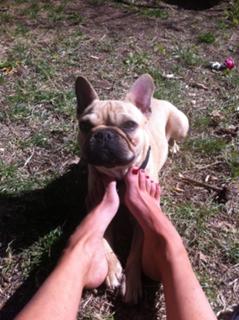 Alice Belaïdi feet photo thumbnail