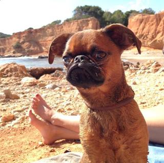 Alice Belaïdi feet photo thumbnail