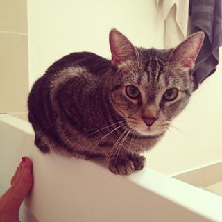 Alice Belaïdi feet photo thumbnail