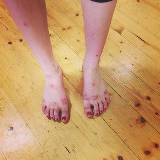 Alice Bellagamba feet photo 11