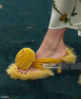 Alice Braga feet photo 8