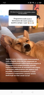 Alice Brivio feet photo 19