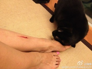 Alice Chan feet photo 1