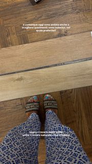 Alice De Bortoli feet photo 7