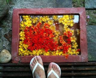 Alice Dixson feet photo 7